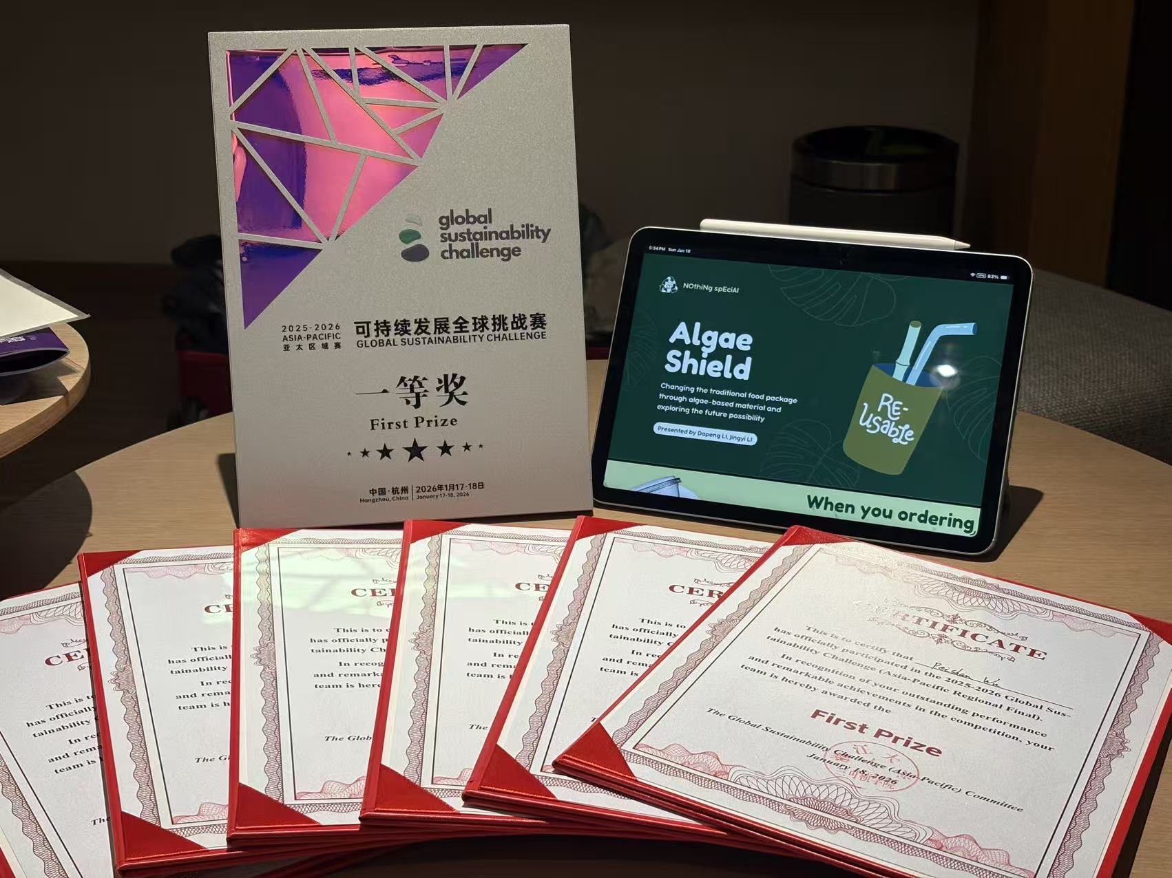 Global Sustainability Challenge